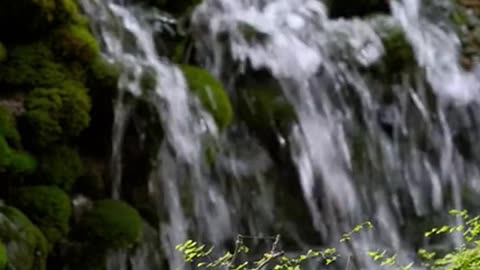 Daily Horoscope | Aquarius 🌟