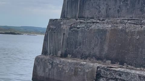 Jumping off a high wall into the sea
