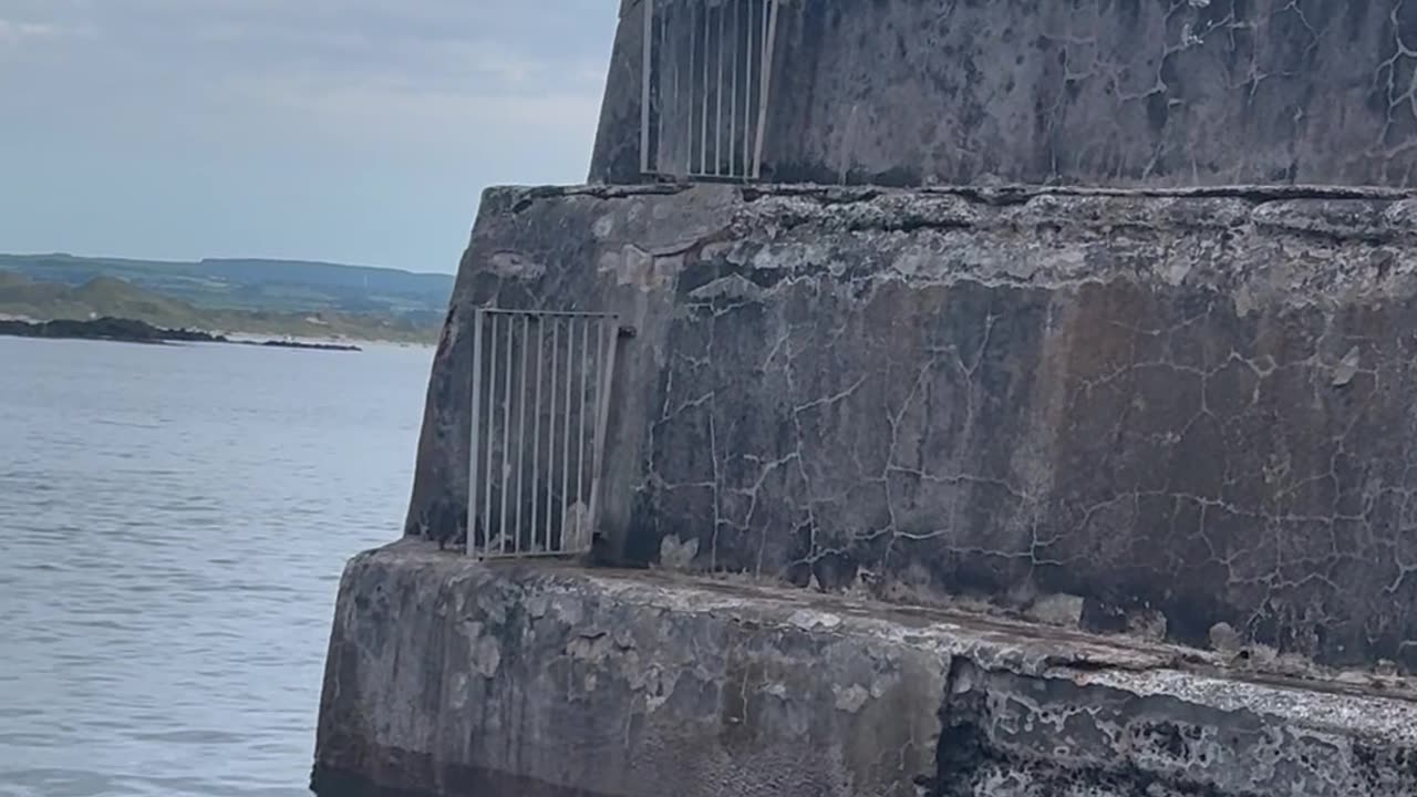 Jumping off a high wall into the sea
