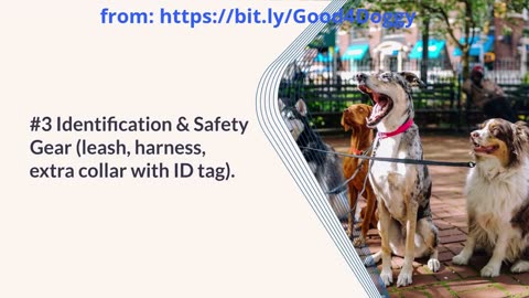 Creating a Dog Emergency Kit: Essentials Every Pet Parent Needs