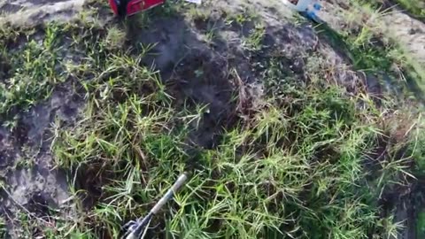 altra pescata in fiume innescando il vivo or river fishing with live bait, soddisfatto_part6