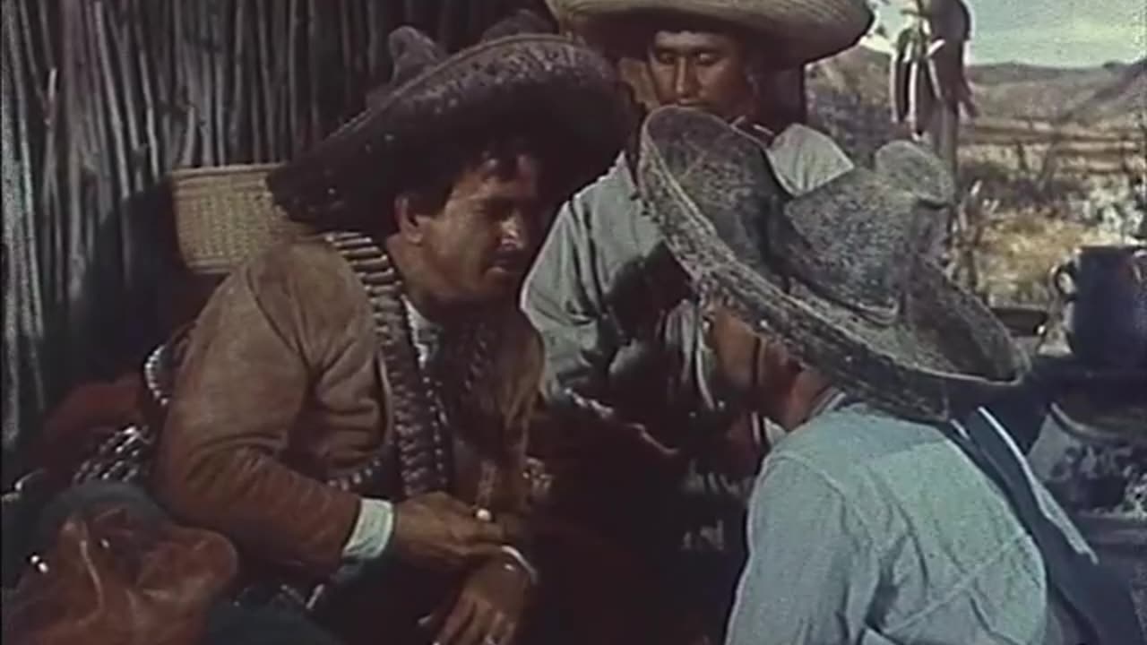"Wings of the Hawk" Starring Van Helfin and Julie Adams