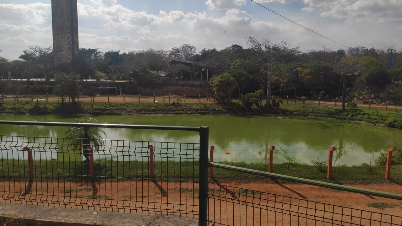Animaya - Mérida - Yucatán - 4K - Part 2