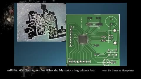 Why Do These Mysterious mRNA Vaccine Ingredients Look like Circuit Boards？