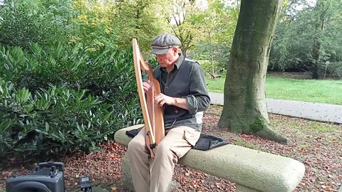Music of Metis. Neo - Gothic Harp