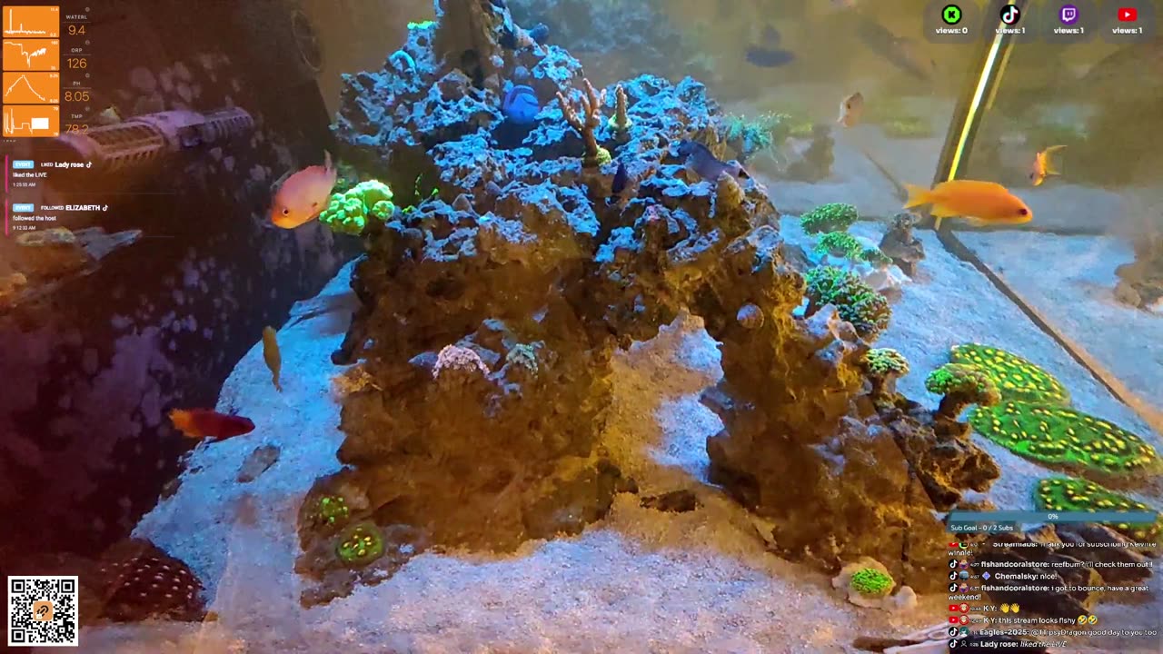24/7 Real Live Reef Stream