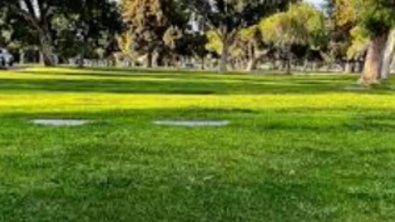 FAMOUS GRAVES - VOL. 118: FRANK SINATRA