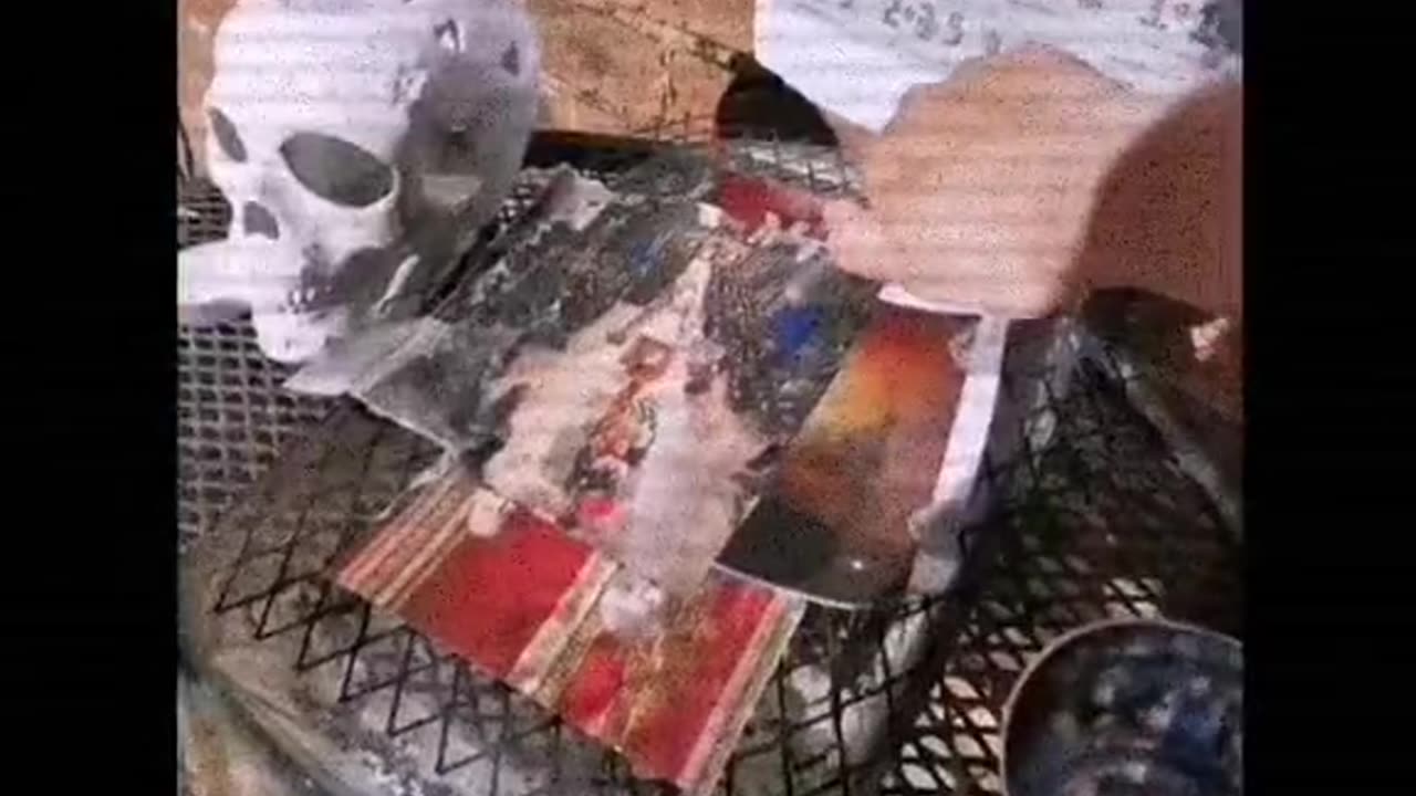 Tim Rifat TikTok Videos