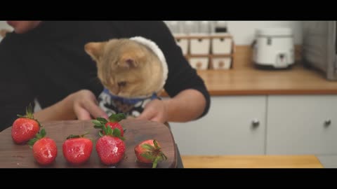 Candied Strawberry Recipe (Tanghulu Candied Fruit)