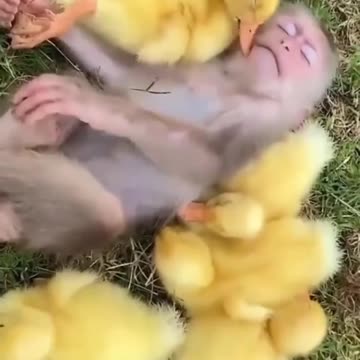 After a hard days work