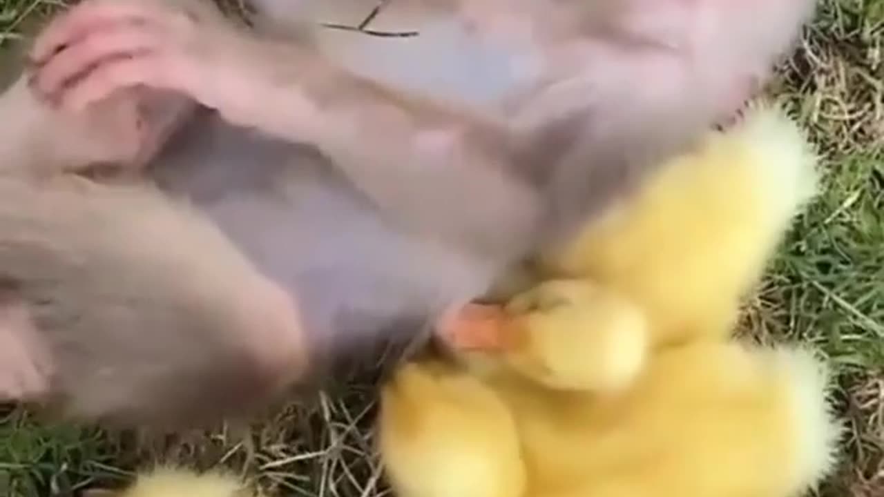 After a hard days work