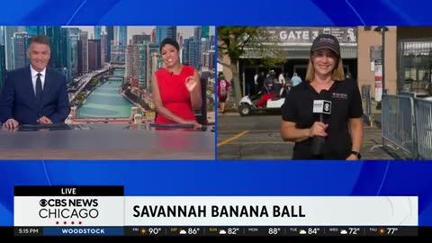 Savannah Bananas sell out on the South Side