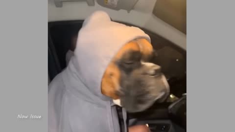 Viral 4K Footage 🎥 | Incredible Moments You Must See 💥