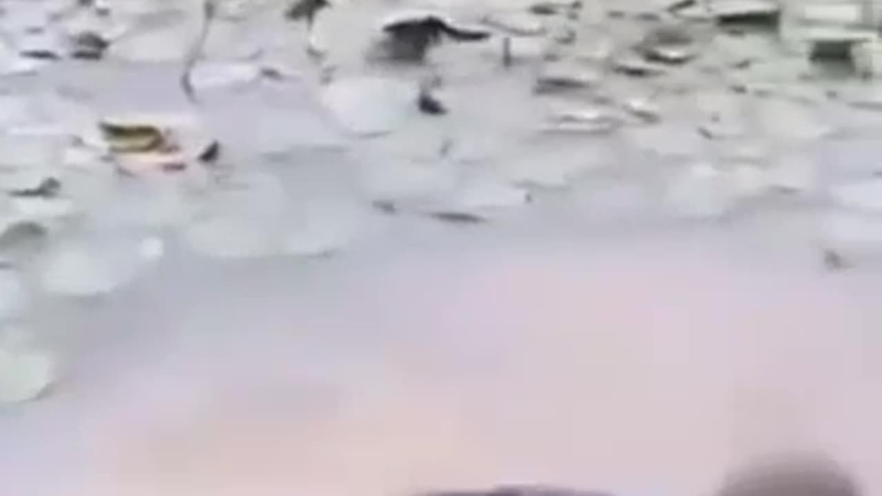 Way of baptism
