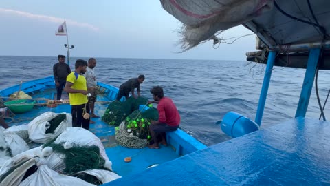Fischerboote im Morgenlicht Krabbenfang in Taiwan #TaiwanFischerei #Krabbenfischen #Sonnenaufgang