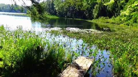 Great View