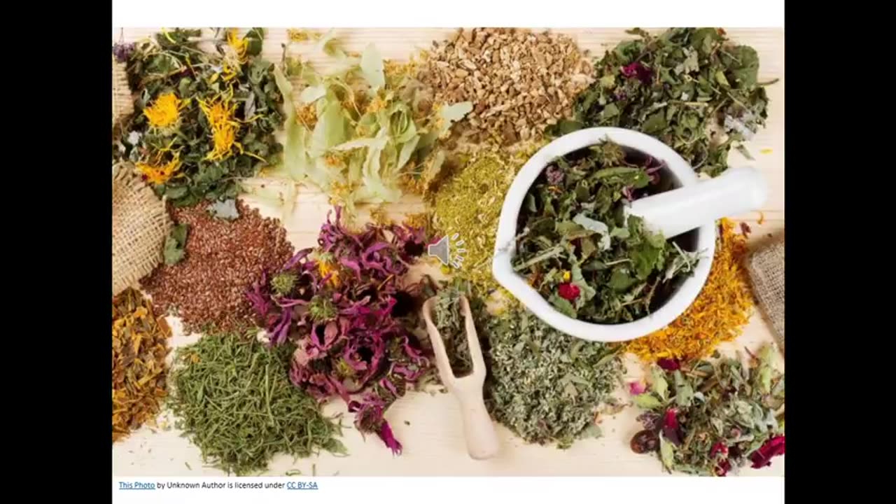 Alt-Tech S2 44 European Ethnobotany