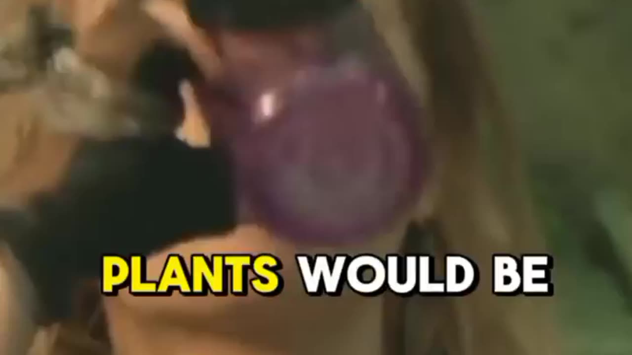 What if all plants were carnivorous?