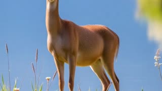 Earth’s Endless Harvest: Feeding the World #shorts