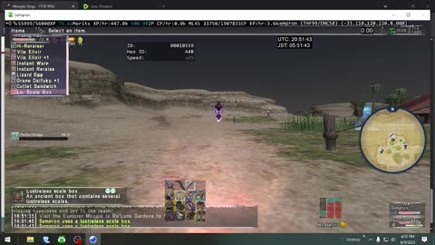 Playing Final Fantasy XI Online
