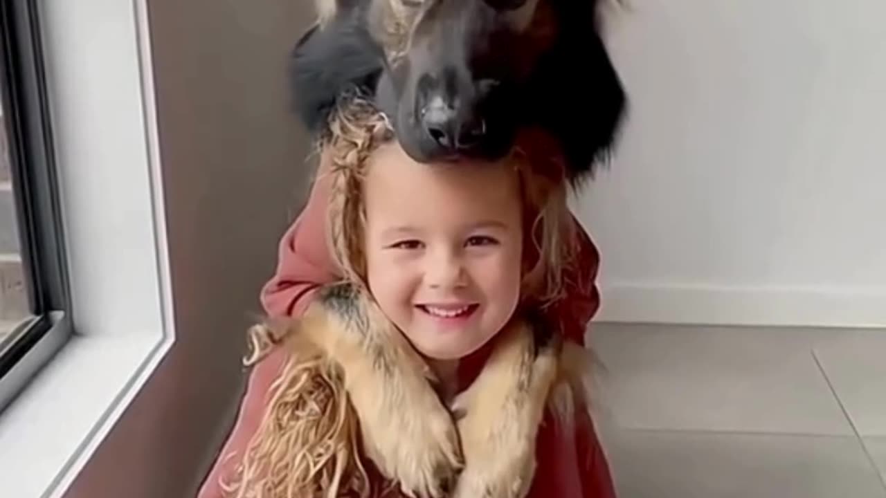 FUNNY ANIMAL COMPILATIONS - PART 55