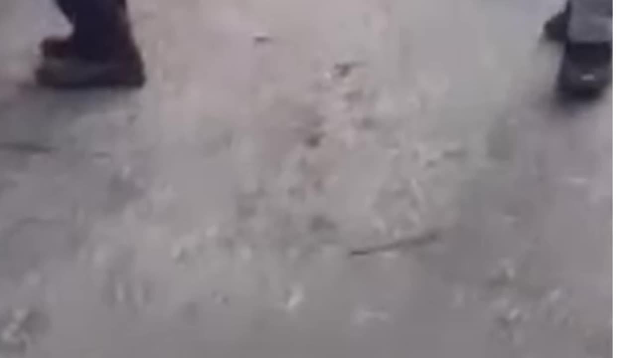 PALESTINE