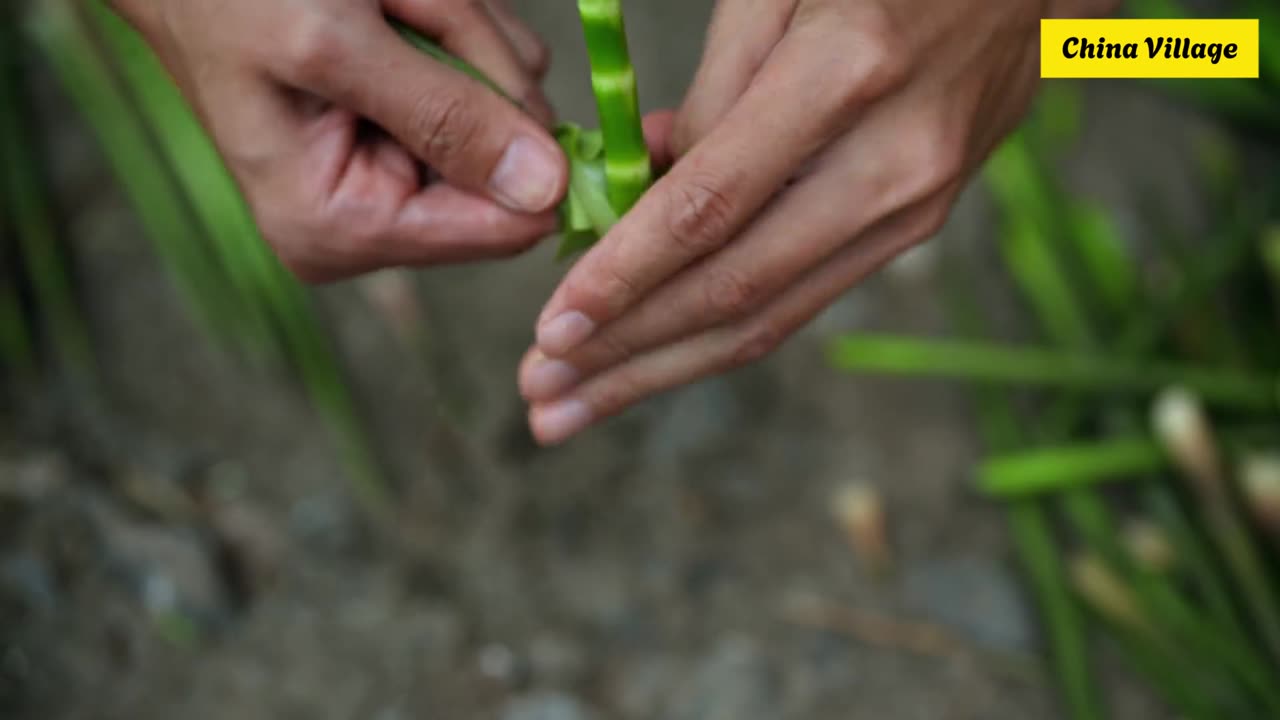 Bamboo Shoots Like You’ve Never Tasted: Refreshing, Crunchy, Delicious!