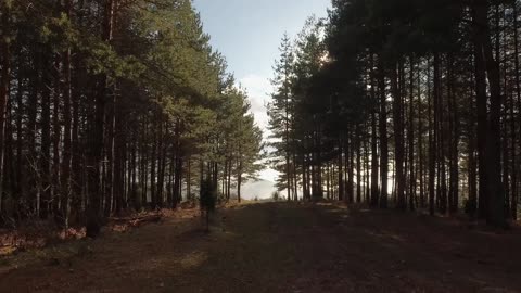 Tefillah_S04E03 (The Forest)