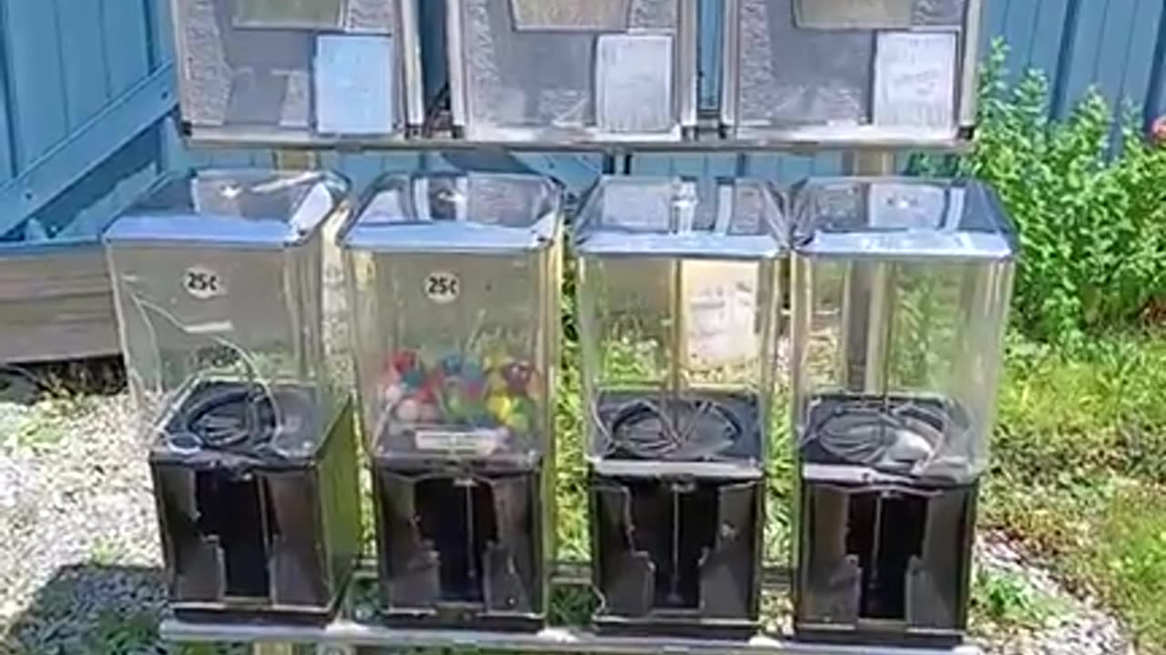 Dumpster Treasure