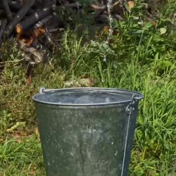 My heart is warm and calm from such videos