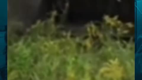 😱👻 OMG! Creepy Figure Spotted! | TheHauntingHour