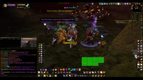 Turtle Wow - PUG MC - Paladin POV