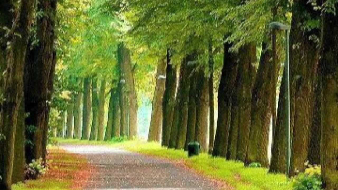 This Light Is Mine #1