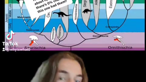 🦖🤔 Why Some Dinosaurs Had Feathers and Some Didn't... | FunFM