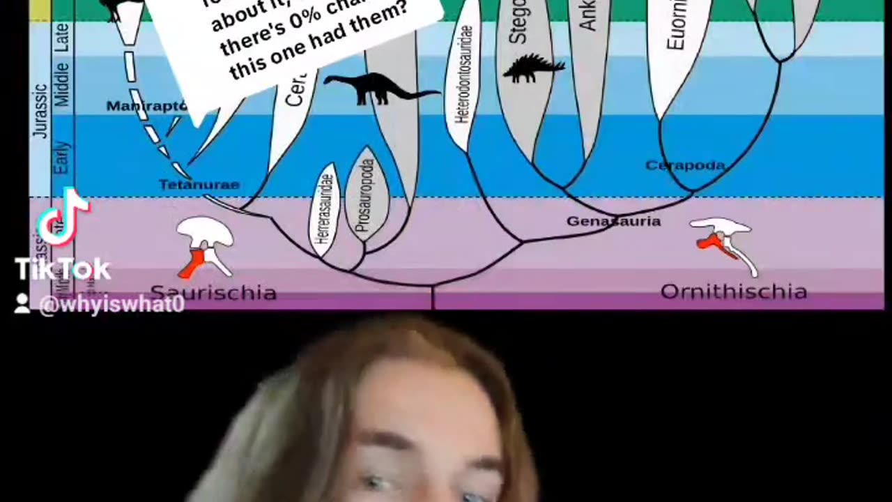 🦖🤔 Why Some Dinosaurs Had Feathers and Some Didn't... | FunFM