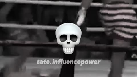 Young Andrew Tate Knockout