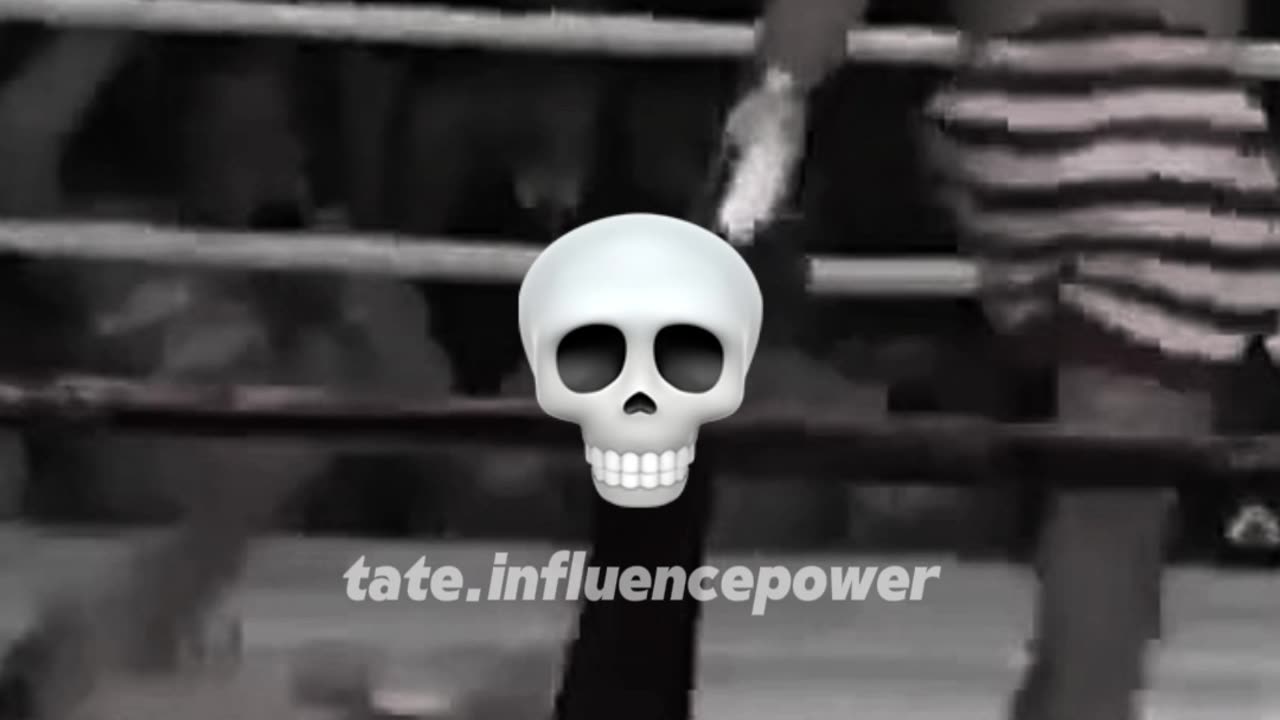 Young Andrew Tate Knockout