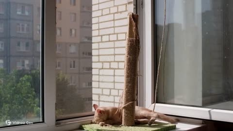 Tiny Paws Parade