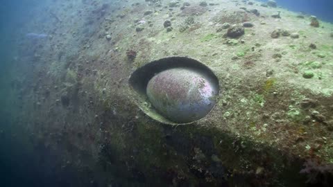 Lusitania Sinking: A Historical Analysis