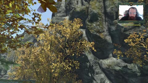 DayZ - Looting and looking for planks