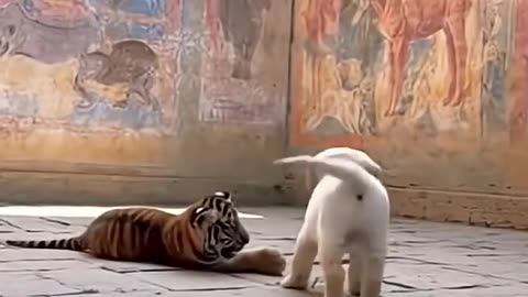 The Cutest Odd Couple!