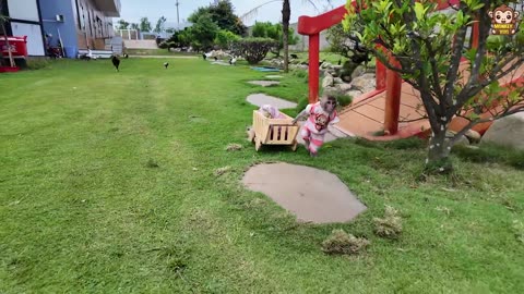 YiYi ran away from home because YinYin didn't want to play with her and then