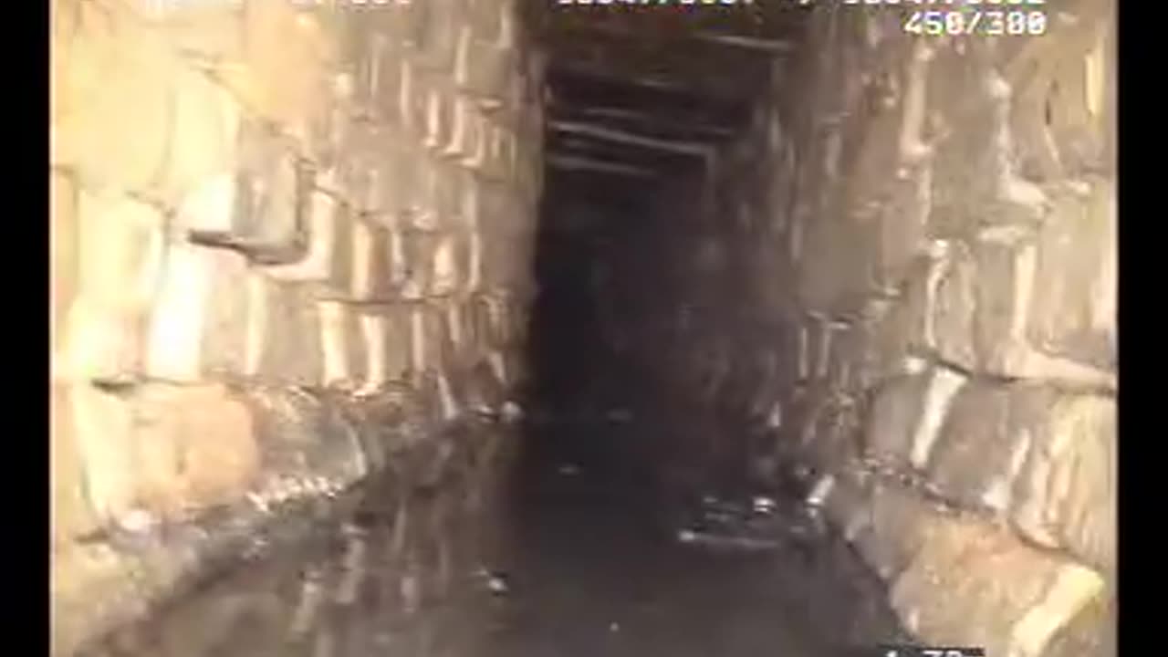 Unknown Creature Spotted During Survey Of Sewer System