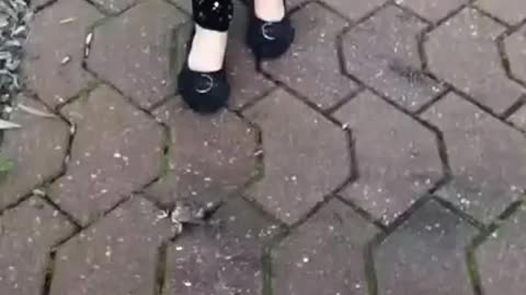 Trampling a Dead Bird