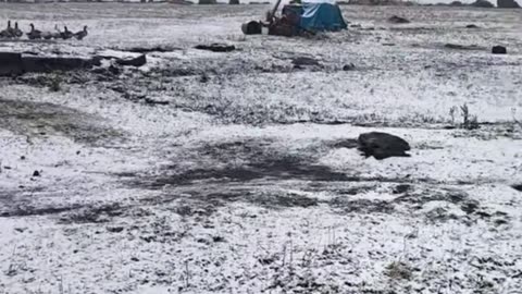 ANOMALIE : La Turquie noyée sous la neige parmi les feuilles d'automne