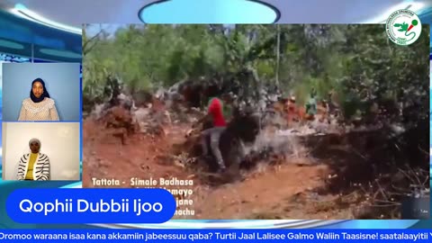 Qophii Dubbii Ijoo ONM-ABO Adoolessa 23-2025 itti dhiyaadaa!