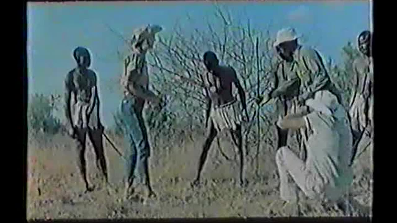 SHOCKING ASIA -Kult penisa