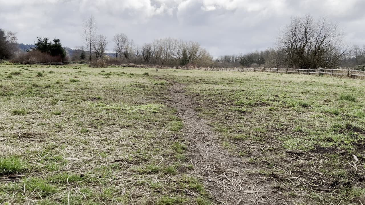 Yuma in pursuit t75765765356465