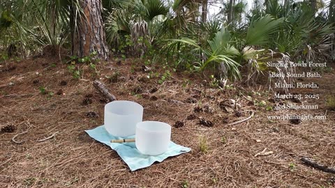 Singing Bowls Forest Bath Sound Bath (Includes 528 Hz), Miami, Florida, March 23, 2025 - Jedi Shaman