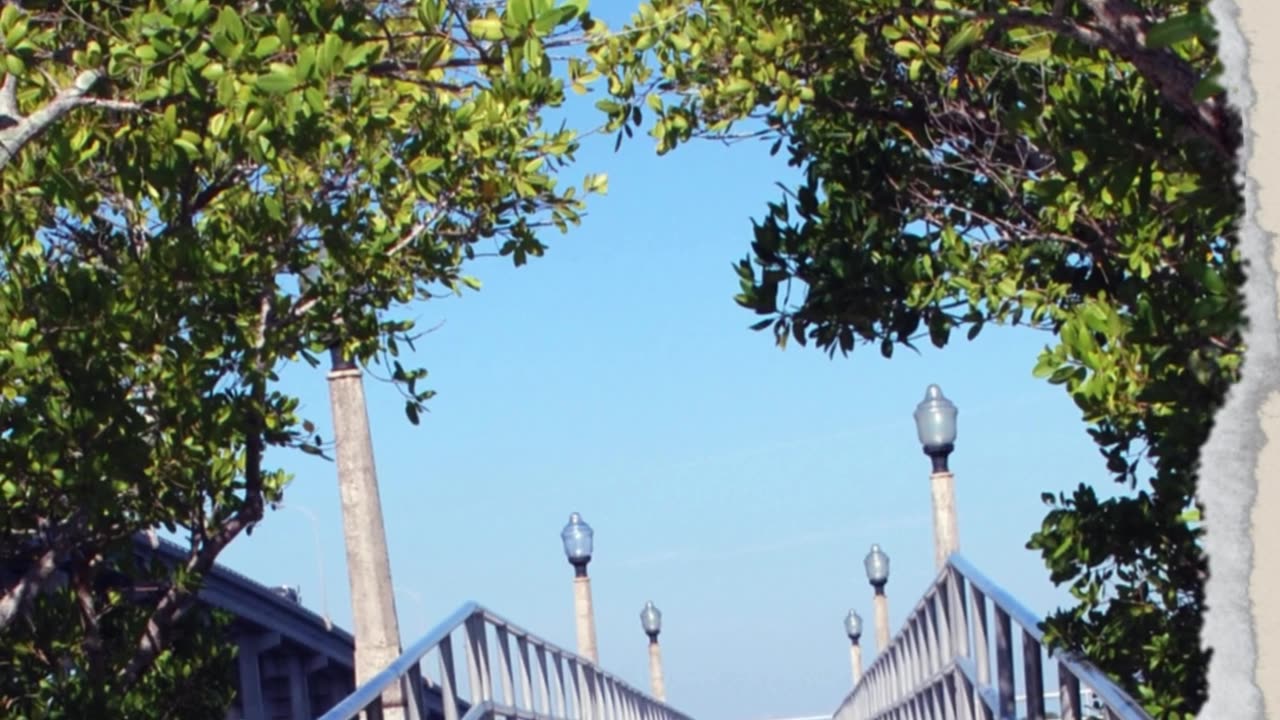 Finding Peace: Calm Your Soul in a Troubled World